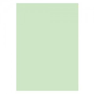 A3 Copier Paper 80gsm Pale Green 500 Sheets