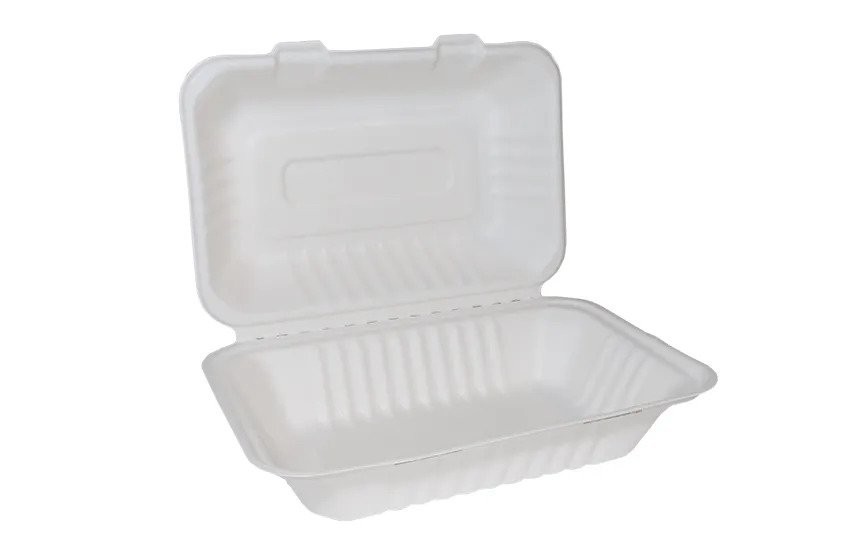 Bagasse+ClamShell+Large+9%22+x+6%22