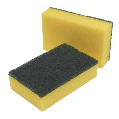 Sponge+Backed+Scouring+Pads